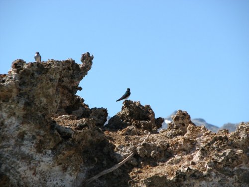 Mono Lake